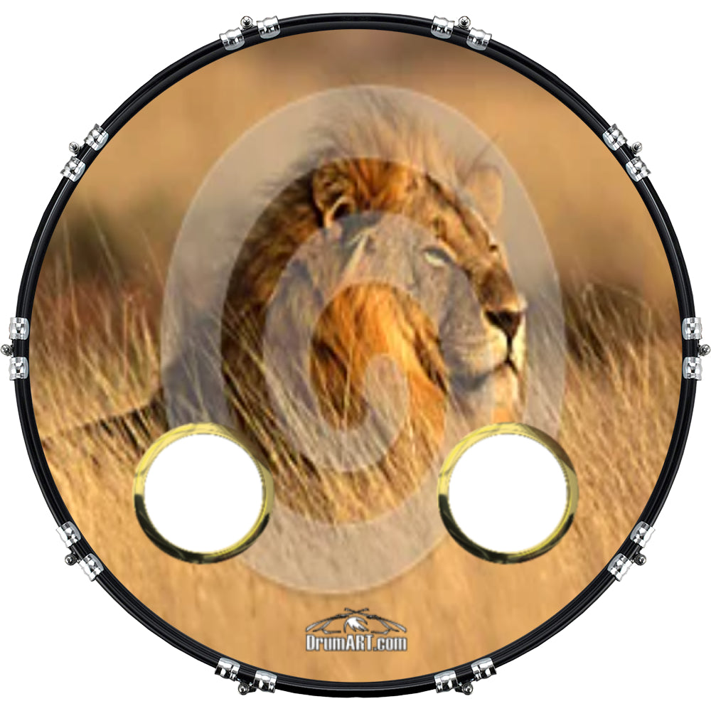 DrumHead 20000