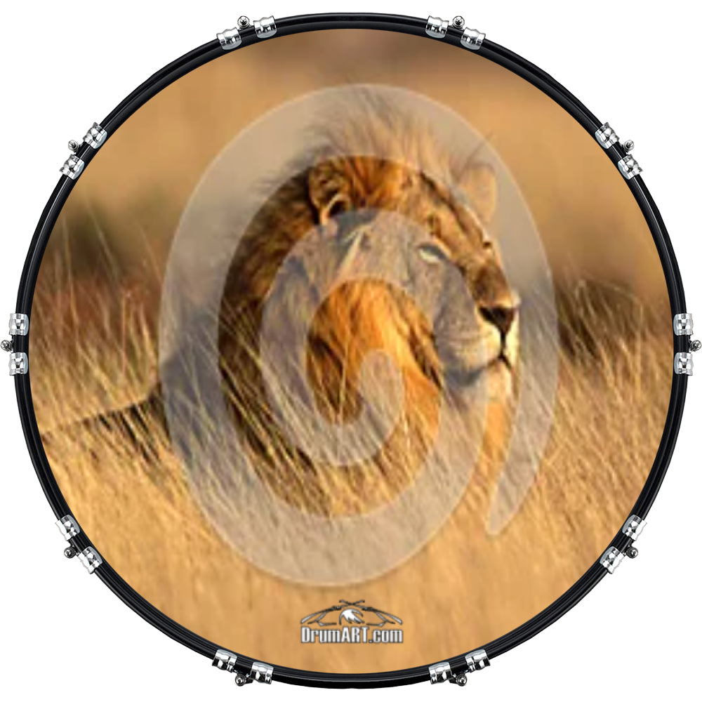 DrumHead 20000