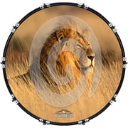 DrumHead 20000