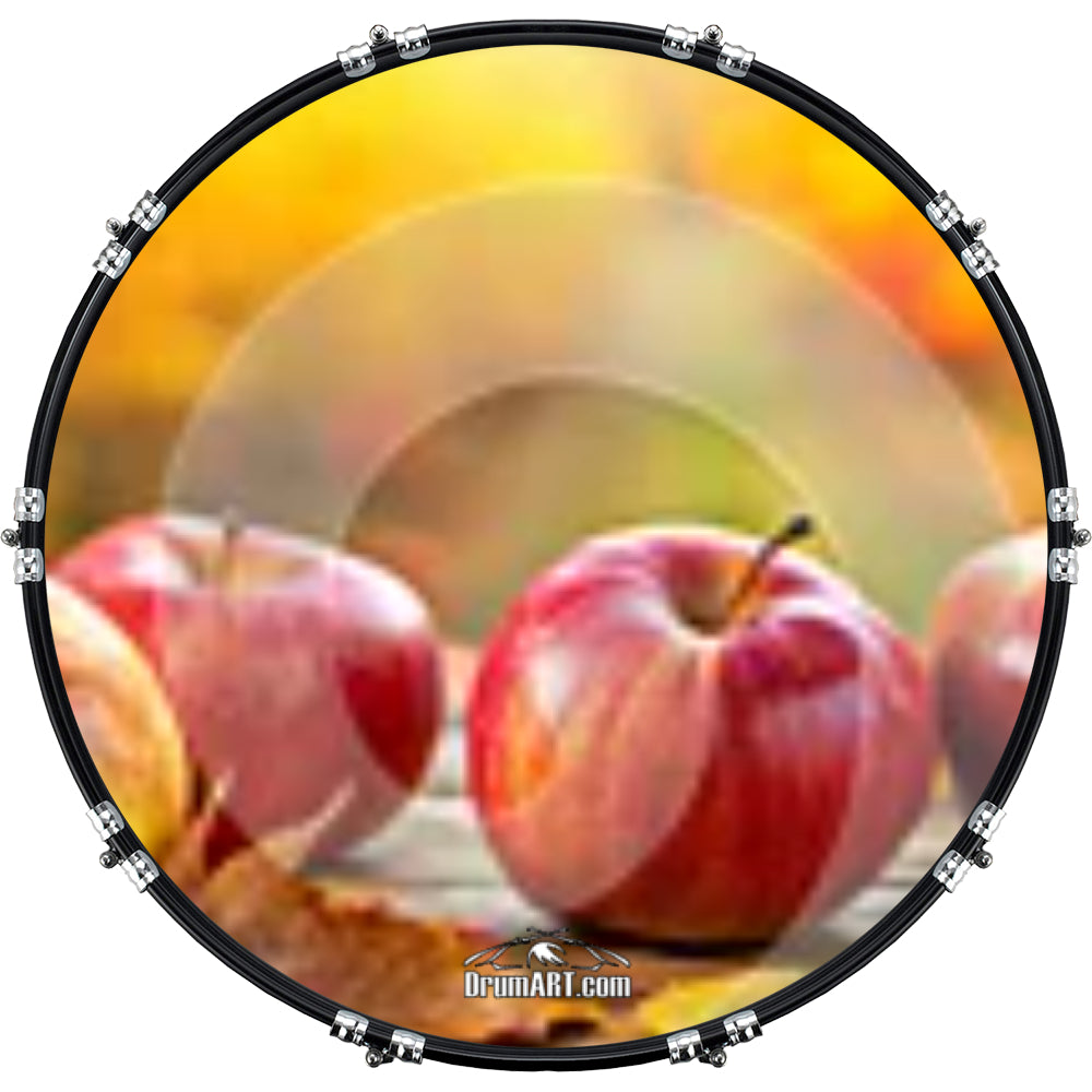 DrumHead 20232
