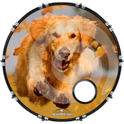 DrumHead
