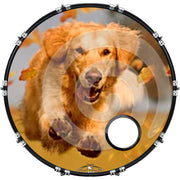 DrumHead