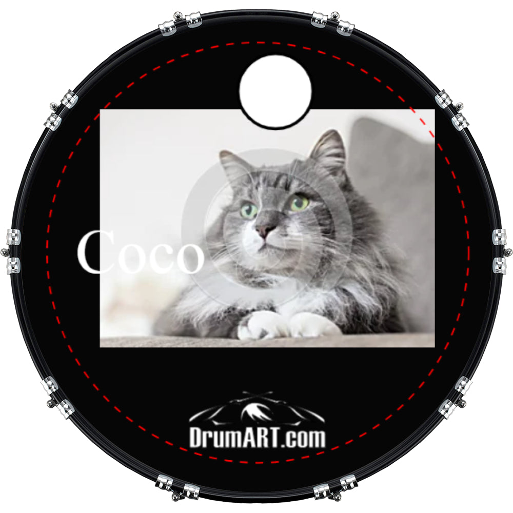 DrumHead