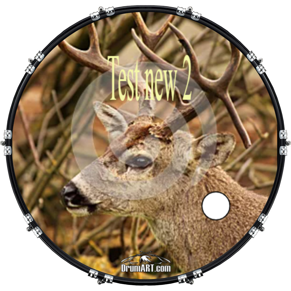 DrumHead