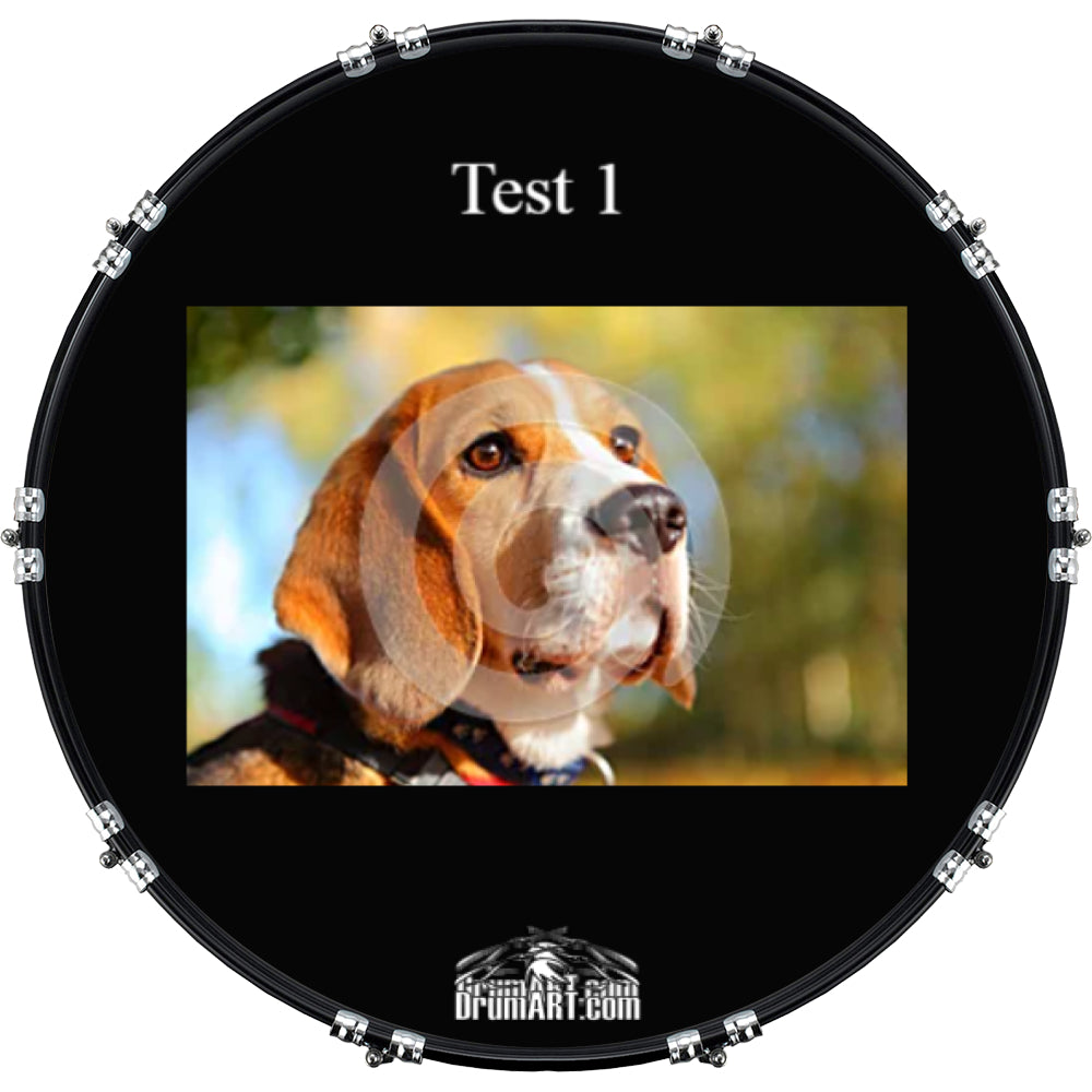 DrumHead