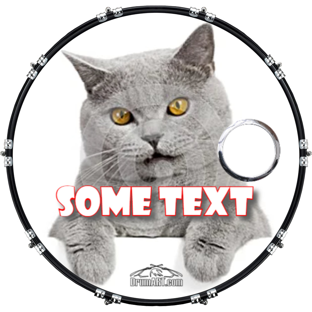 DrumHead