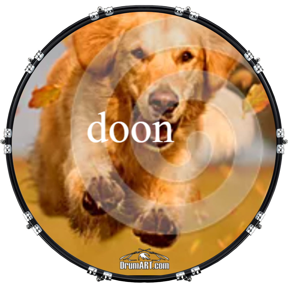 DrumHead