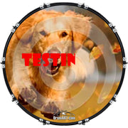 DrumHead