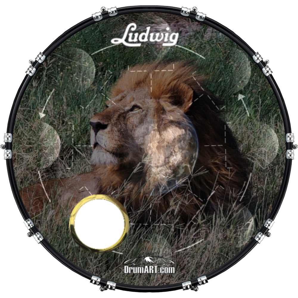 DrumHead