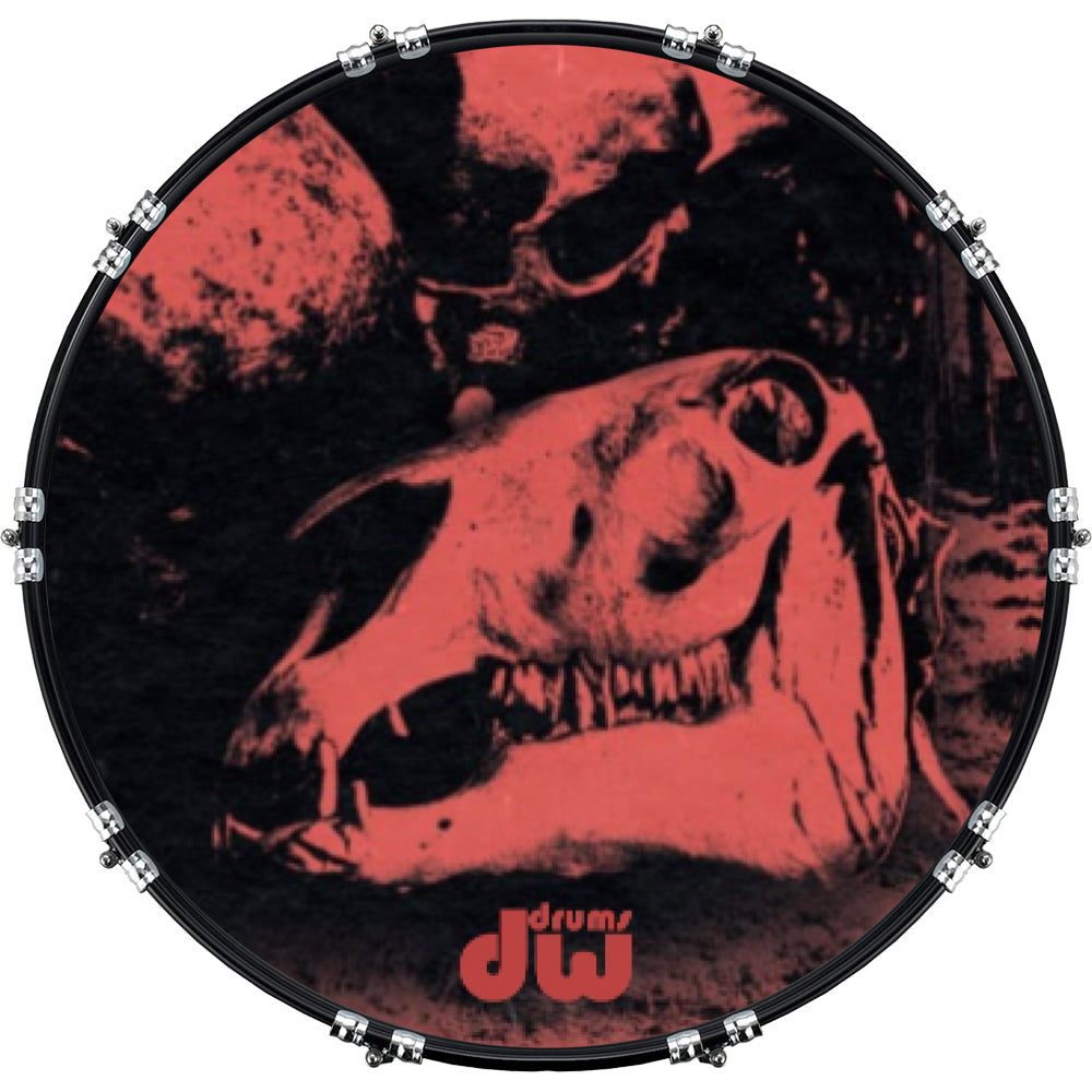 DrumHead