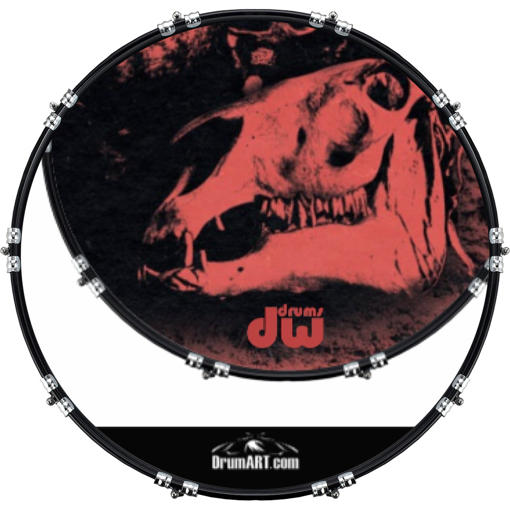 DrumHead