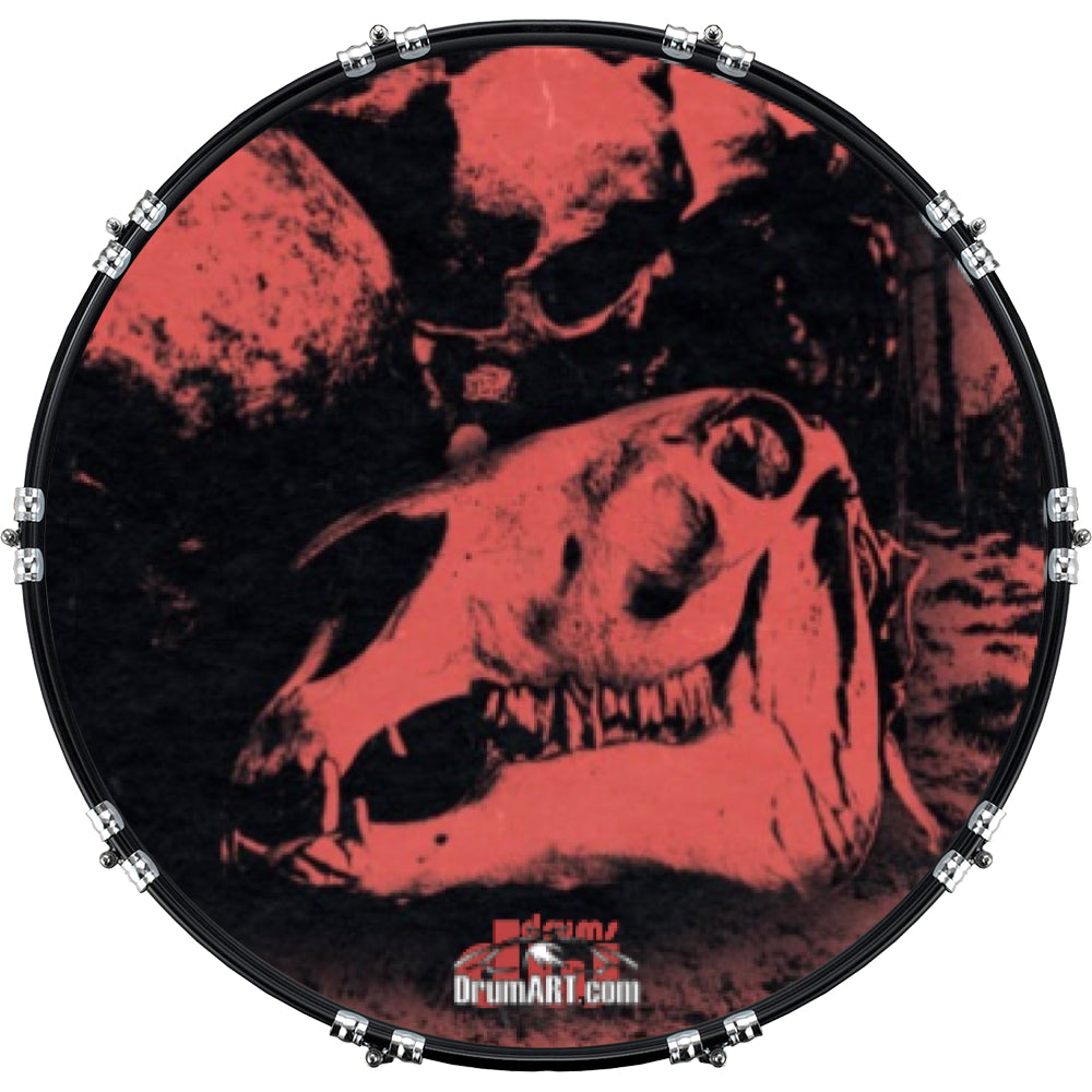 DrumHead
