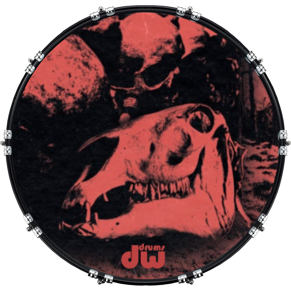 DrumHead