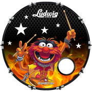 DrumHead