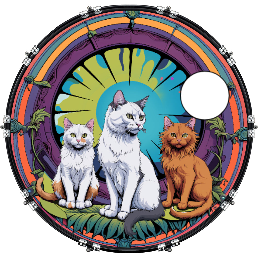 DrumHead