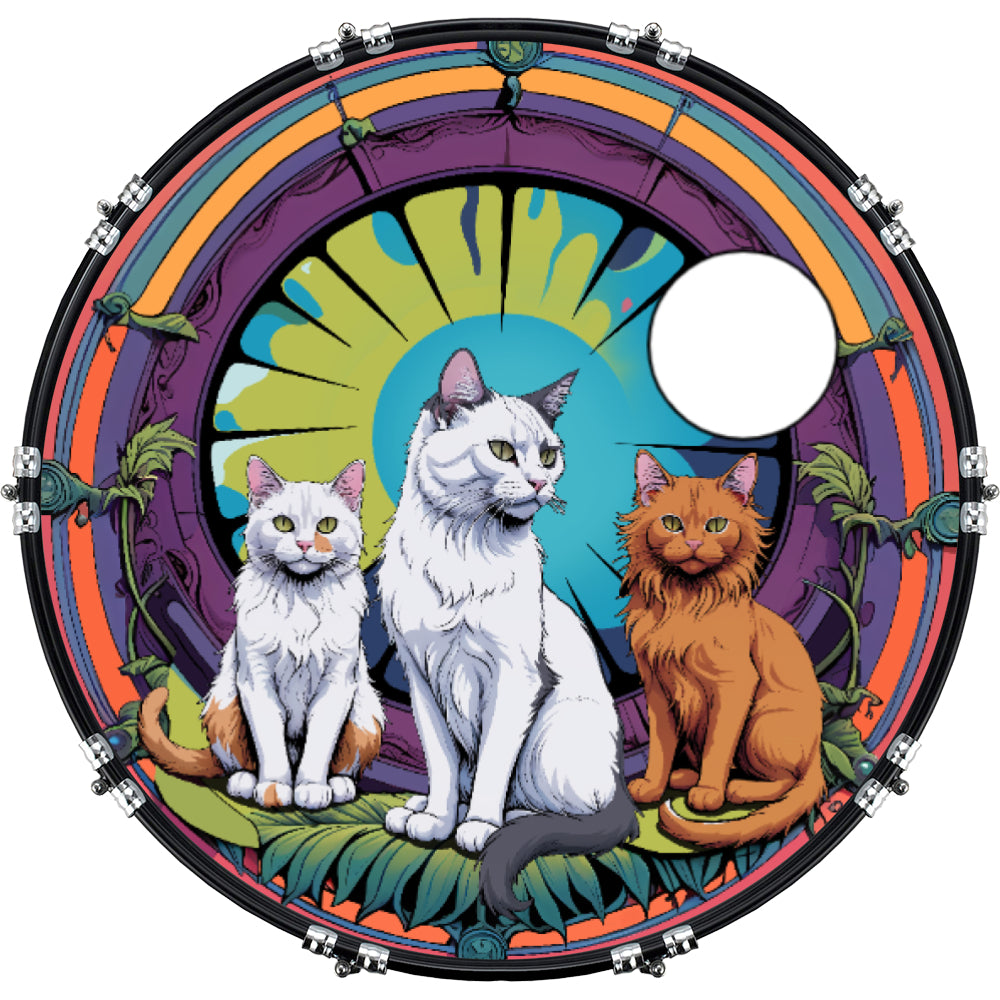 DrumHead