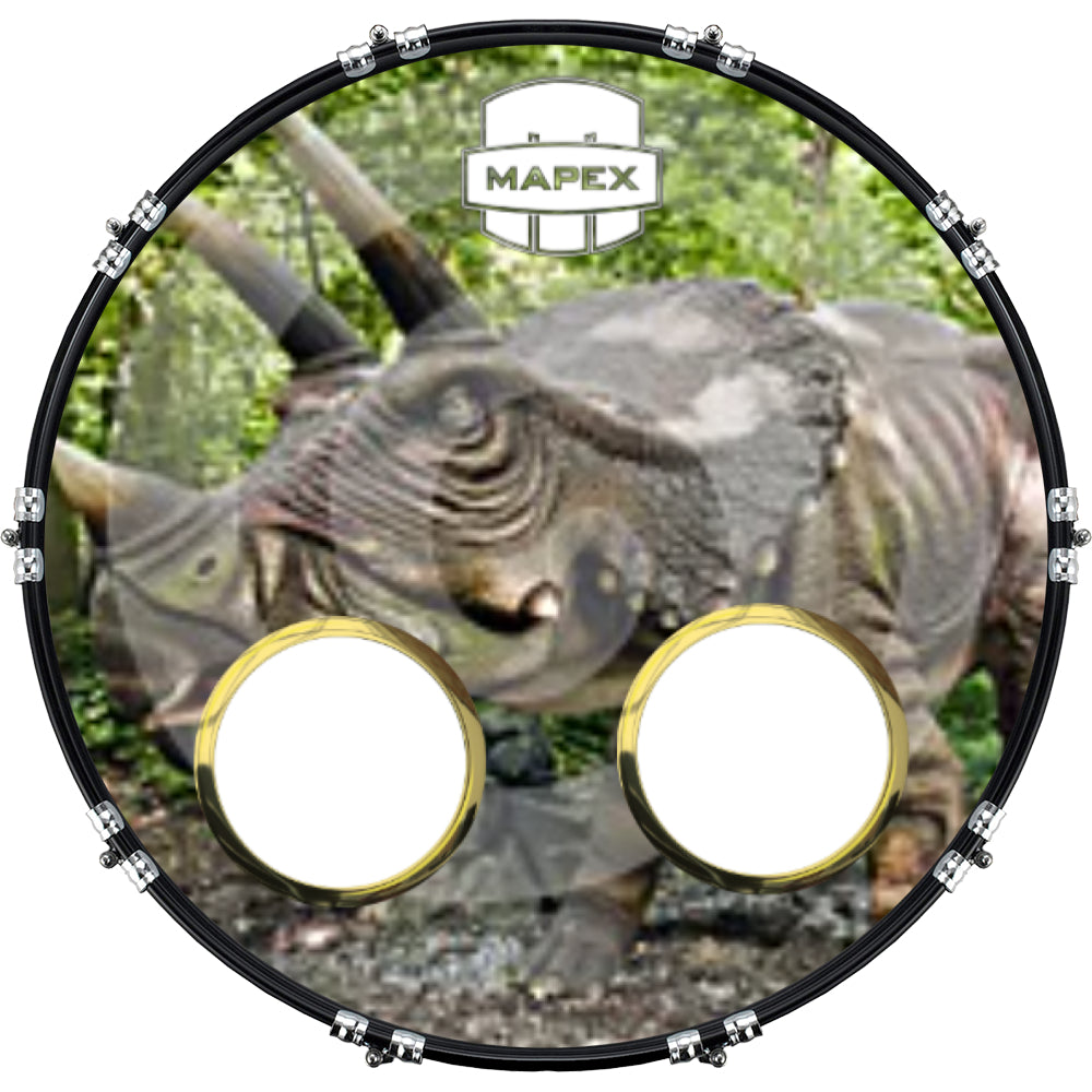 DrumHead