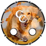 DrumHead