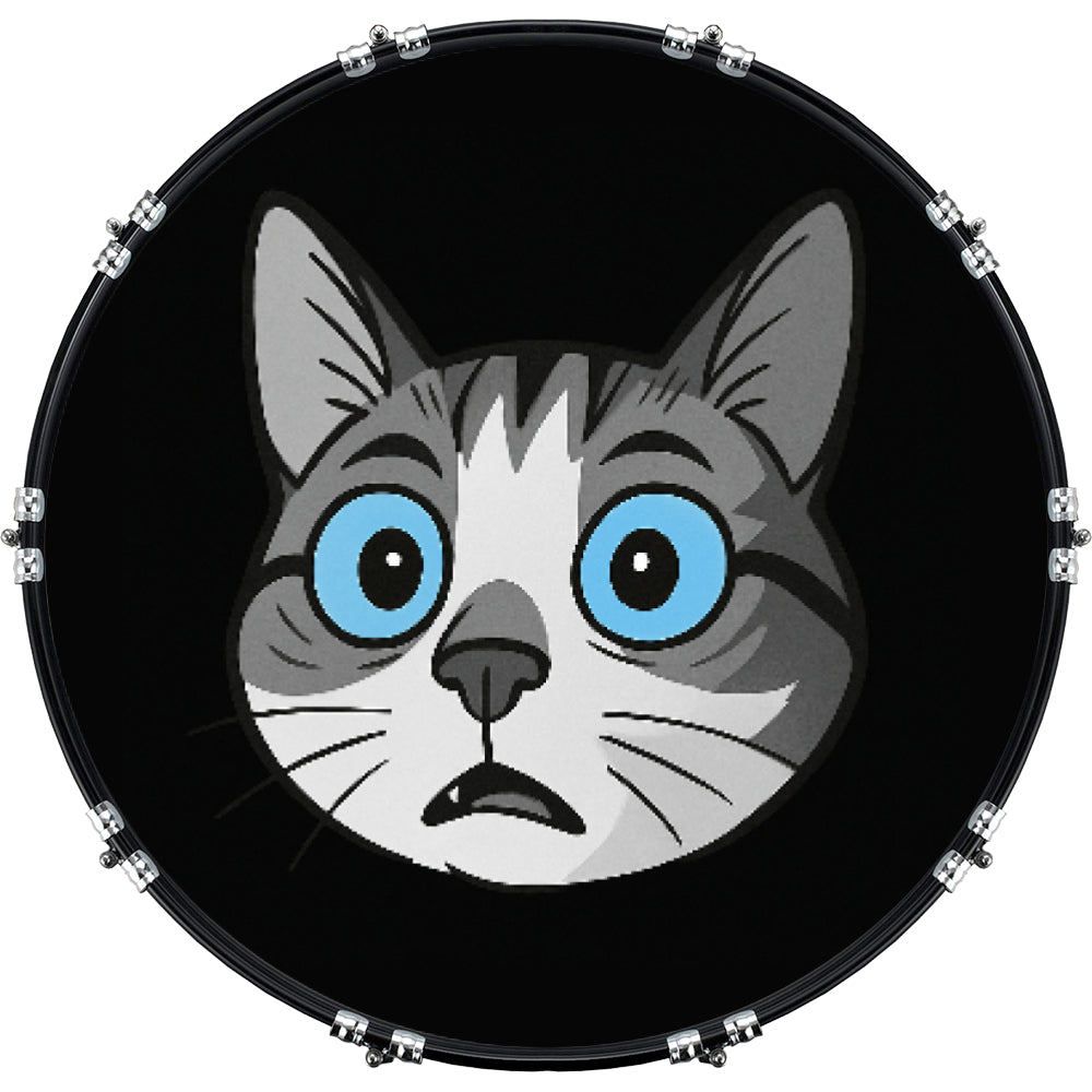 DrumHead
