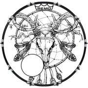 DrumHead