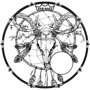 DrumHead