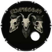 DrumHead