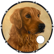 DrumHead
