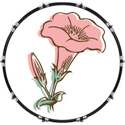 DrumHead
