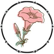 DrumHead