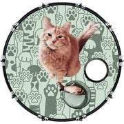 DrumHead