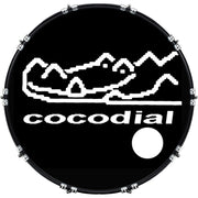 DrumHead