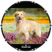 DrumHead