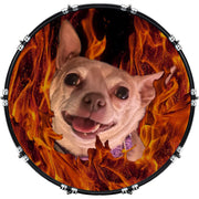 DrumHead