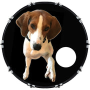 DrumHead