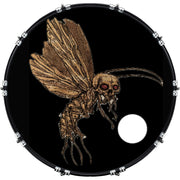 DrumHead