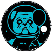 DrumHead
