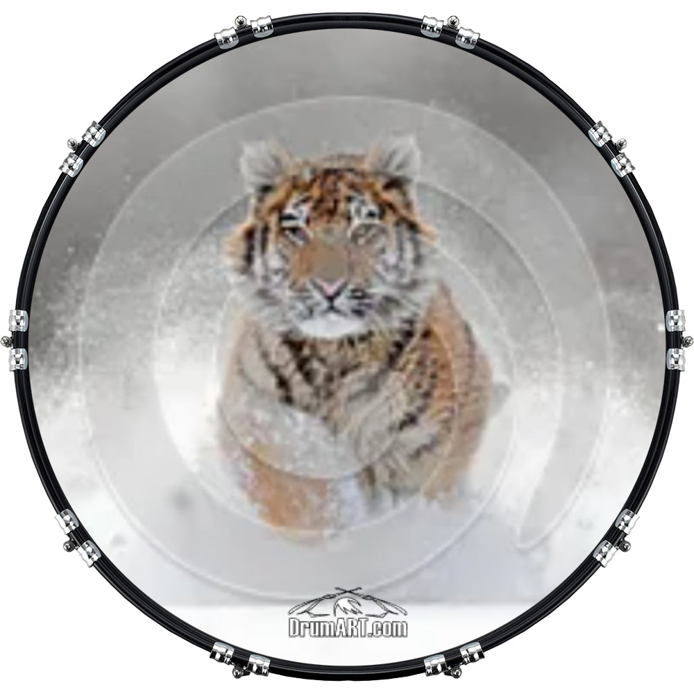 DrumHead