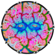 DrumHead