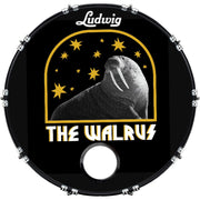 DrumHead