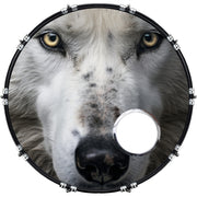 DrumHead