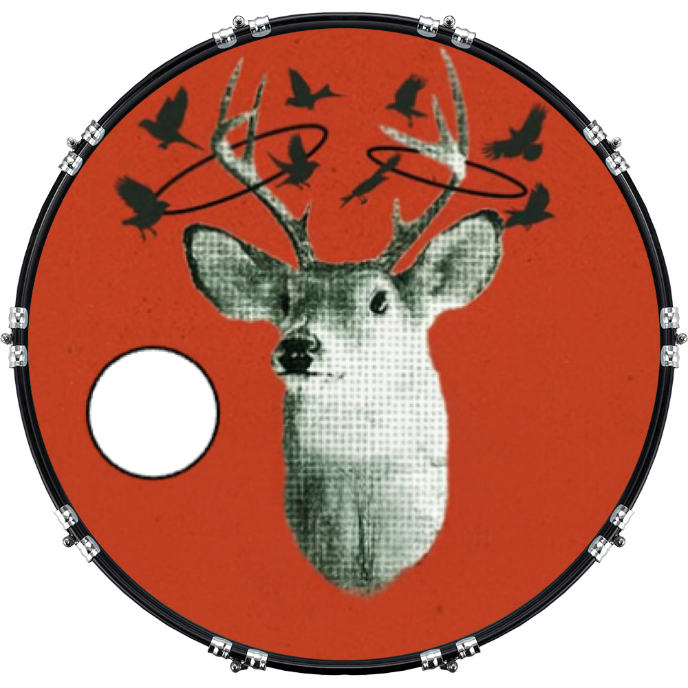 DrumHead