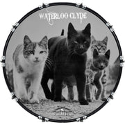 DrumHead