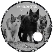 DrumHead