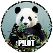 DrumHead
