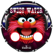 DrumHead