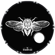 DrumHead