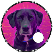 DrumHead