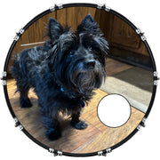 DrumHead