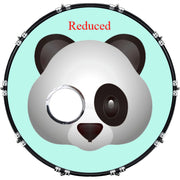DrumHead