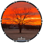 DrumHead